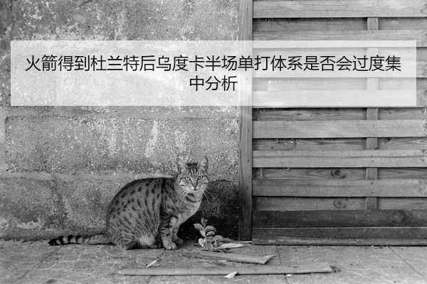 火箭得到杜兰特后乌度卡半场单打体系是否会过度集中分析