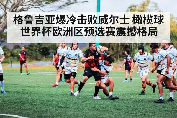 格鲁吉亚爆冷击败威尔士 橄榄球世界杯欧洲区预选赛震撼格局