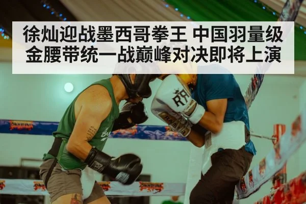 徐灿迎战墨西哥拳王 中国羽量级金腰带统一战巅峰对决即将上演