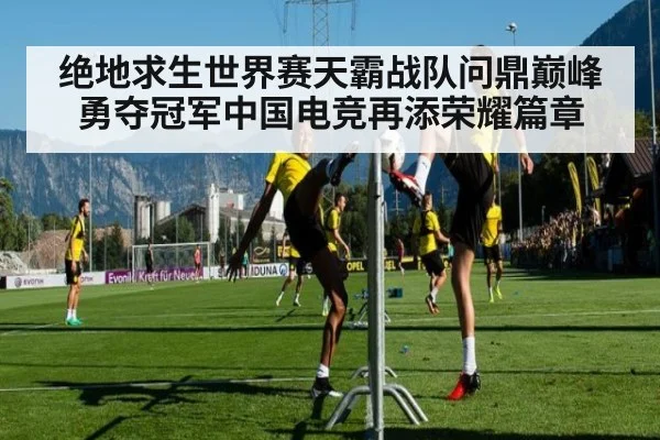 绝地求生世界赛天霸战队问鼎巅峰勇夺冠军中国电竞再添荣耀篇章